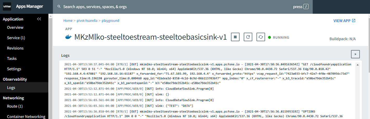 Data Flow Runtime Information